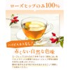 Warm Farm [Natural Color Not Red] Rose Hip Tea Bag