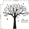 LUCKKYY Grant Family Tree Wall Decal with Family Like Branches