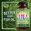 Vegan Omega 3 Algae Oil with DHA EPA The Fish-Less