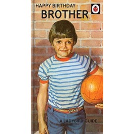 Brother Birthday Card, Happy Birthday Card Brother, Ladybird Brother Birthday Card, Happy Birthday Brother Card,Multi,9 x 5