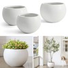 FloraFairy Fiberstone Sphere Planter, 19.3" Dia x 13" H Large