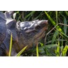 Hi-Line Gift Snapping Turtle Garden Statue Lifelike Yard Decor Wildlife