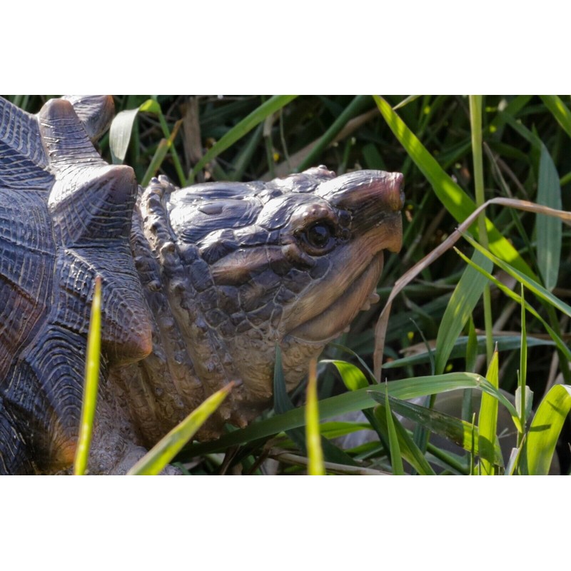 Hi-Line Gift Snapping Turtle Garden Statue Lifelike Yard Decor Wildlife