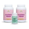 A&g Persea- 2 Colageno Hidrolizado Sabor Arandano 1.2 Kg C/u