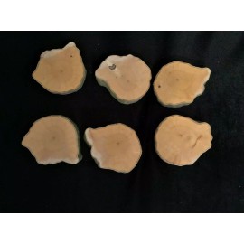 Bringing Outdoors Indoors Musclewood Slices, Ironwood, Blue Beech, 1/2 in thick 3 inches diameter, 6 count