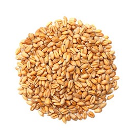 Whole Wheat - 1LB