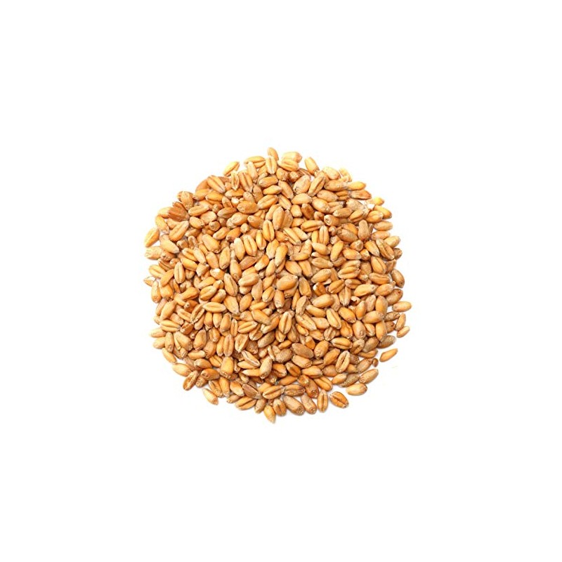 Whole Wheat - 1LB