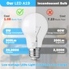 Maylaywood A19 LED Light Bulb Dimmable, 60 Watt Equivalent, 5000K