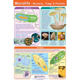 NewPath Microlife Poster - Laminated, Full-Color, 23" x 35" (34-6106)