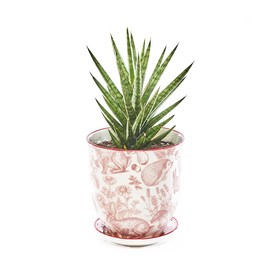 CHIVE ‘Liberte’ Ceramic Succulent Pots — 4.25” Cute Vintage Farmhouse Style Planters for Indoor Plants — Beautiful Home & Kitchen Decor — Red Squirrels