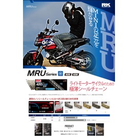 RK GV420MRU 100L Chain