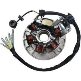 Fancy Scooters Magneto Stator Gear wire Light 125cc 140cc Apollo SSR SDG YX Lifan Dirt Pit Bike