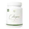 Caro Fit Colágeno Hidrolizado Tipo Articulaciones Cartílago Polvo Glucosamina Msm
