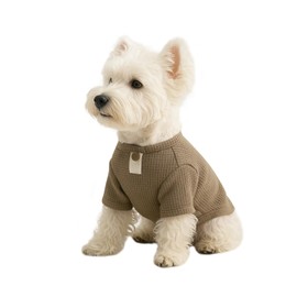 HOLYCAT Dog Clothes, Dog Shirt, Casual, Fashion, Loungewear, Dog Clothes, Cute, Sunscreen, Hair Loss Protection, Plain, Dog T-Shirt, Indoors, Outings, Walks, Spring, Summer, Autumn, Soft, Breathable