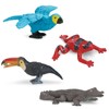 Safari Ltd. Rainforest TOOB - 11 Figurines: Macaw, Frogs, Toucan,