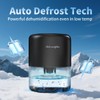 Windangel 44oz(1.3L) Small Dehumidifier for Home, Auto-Off Quiet Portable Dehumidifier