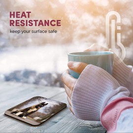 Great Single Coaster Square - Large American Akita Puppy Dog |Glossy Quality Coasters | Tabletop Protection for Any Table Type #15711