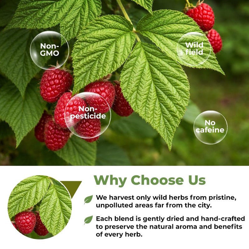 4 oz. Raspberry Leaf Tea Rasberry Leaf Herbs (Rubus Idaeus