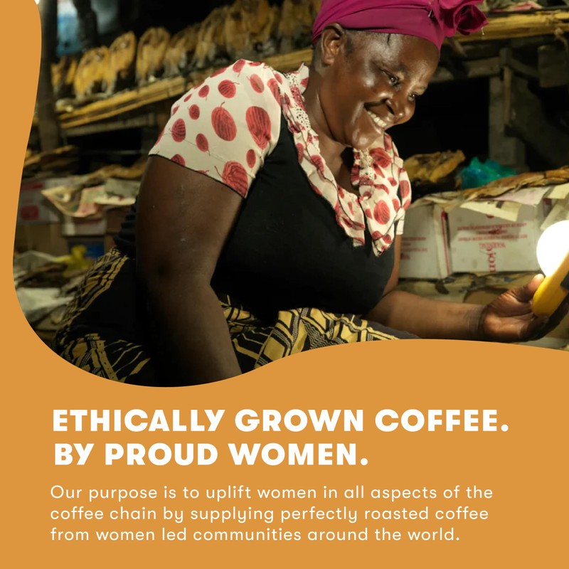 10 Cameroon Home Compostable Coffee Pods Notes of Pecan and