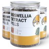 Boswellia Pills Boswellic Acid Frankincense Myrrh Boswellia Pills 300g, 3 Pieces / 보스웰리아환 보스웰릭산 유향 몰약 보스웰리아 환 300g, 3개