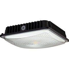 EXPRESS ELECTRIC 45W LED Canopy Light - 4200 LUMENS - 0-10V DIMMABLE - 5000K - 120-277V