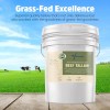 Brabded Stellar - Beef Tallow - 100% Grass-Fed & Finished