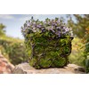 SuperMoss (21588) Sheet Moss Preserved, Natural, 5 Pounds (20-24 sq.
