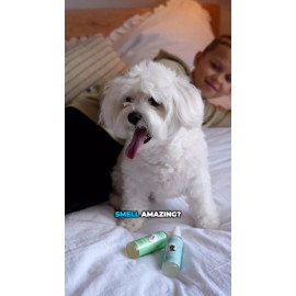 PET AROMA Natural All-Day Perfume Spay For Pets CITRUS 4 oz 120 ml