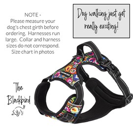 Lucky Love Dog Harness, Floral Pattern Girl Dog Harness for Small Dogs, Easy to Walk, No Pull Dog Harness, Adjustable Custom Fit (Blackbird, Extra Small)