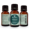 Best of Nature 100% Pure Spruce Essential Oil (0.5 oz)