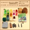 Dennty Wool Felt Kit, Succulent Needle Felt Set of 9,