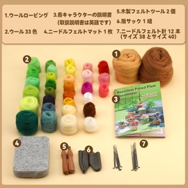 Dennty Wool Felt Kit, Succulent Needle Felt Set of 9, Felt Kit Includes Felt Wool, Felt Mat, Felt Needle, DIY Felt Starter Kit Instructions
