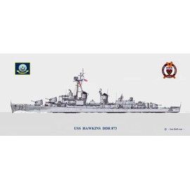 USS Hawkins DDR 873 Print
