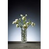 Orrefors Carat 7-1/8" Crystal Vase