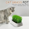 Cat Grass Pot | Organic Cat Grass Planter Tray |