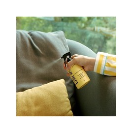 Room & Fabric Perfume Blink 250ML / 룸 앤 패브릭 퍼퓸 블링크 250ML