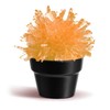EDUMAN Crystal Growing Kit for Kids, Cactus-Orange DIY Crystal Science