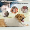Aimydog Dog Recovery Sleeve with Elbow Protector, Recovery Suit for