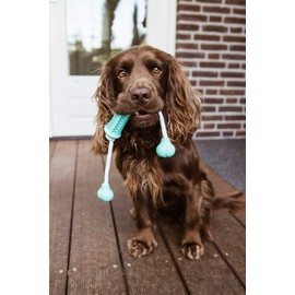 Nobby Vollgummi Stick mit Seil "DENTAL FUN" zweifarbig 37 x 9 cm