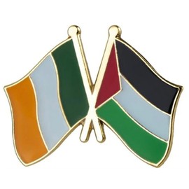 Ireland Irish Palestine Palestinian National Flag Crossed Flags Friendship Love Alliance Allies 1" Enamel Pin