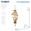Pervue Pet Products Naturals Forage & Engage Duchess Bird Toy