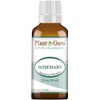 Rosemary Essential Oil 1 oz / 30 ml 100% Pure