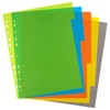 eco-eco A4 50% Recycled Multipunched Reinforced Colour Set 5 Extra