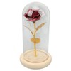 Rose in Glass Dome Lucky Beautiful Symbolism Romantic Enchanted Rose