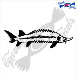 Eyecandy Decals Sturgeon Fish 6" Decal Sticker Black
