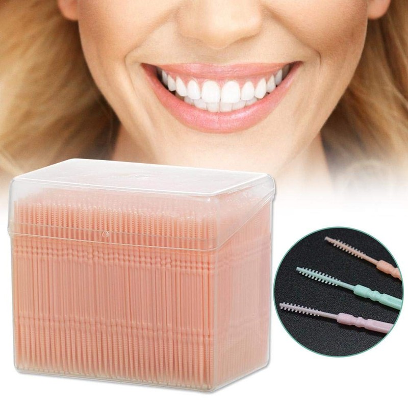 1100 Pcs Disposable Plastic Portable Convenient Toothpicks with Clear Case