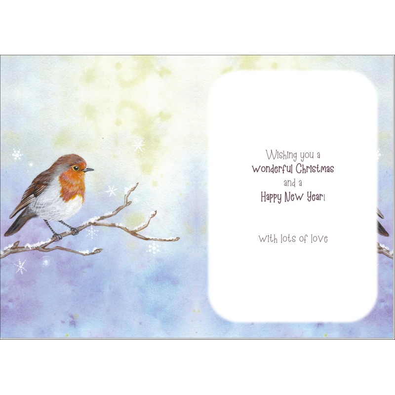 doodlecards Friends Christmas Card Watercolour Robin In The Frost Large