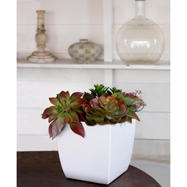 The HC Companies 10 Inch Aria Square Self Watering Planter - Plastic Plant Pot for Indoor Outdoor Plants Flowers Herbs, Matte Black (2 Pack)