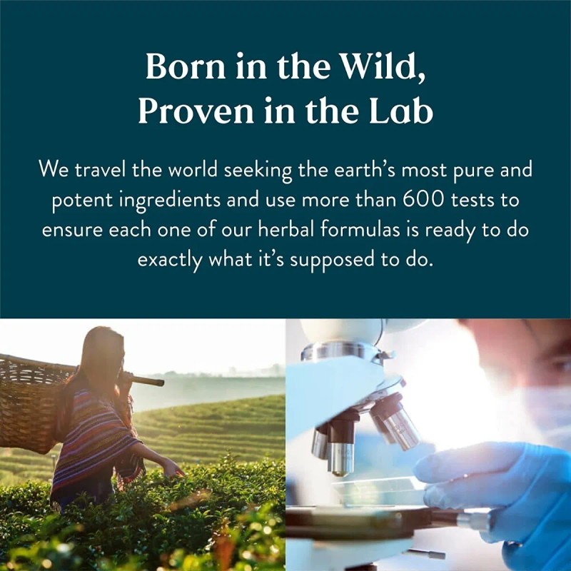 Natures Sunshine Red Yeast Rice 120 Capsules Sabor Sin sabor