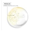 Pack 2 agua micelar en aceite 400mL Garnier Skin Active